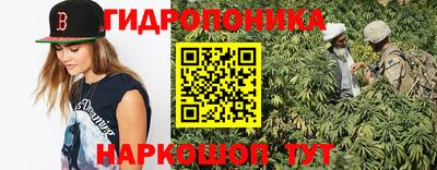 СК Можга