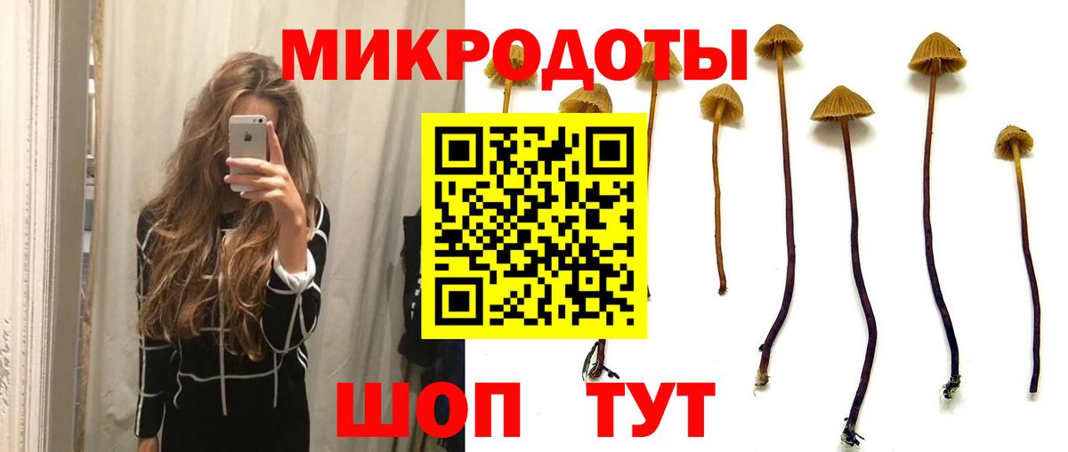 Сургут  Псилоцибиновые грибы прущие грибы  Псилоцибиновые грибы Psilocybine cubensis  Вход с VPN 